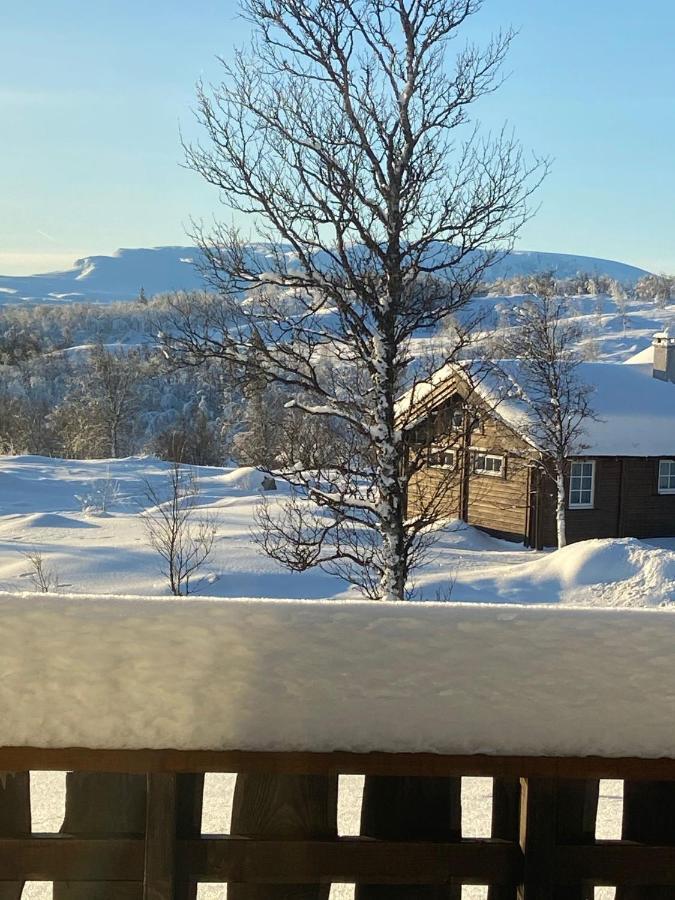 Storemyr By Norgesbooking - Cabin With Amazing View Myro 외부 사진